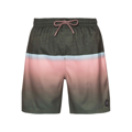 PROTEST pánske boardshorts ERWIN silver pink