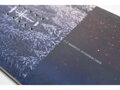 NITRO snowboard PRIME VIEW 