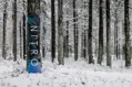 NITRO snowboard FATE